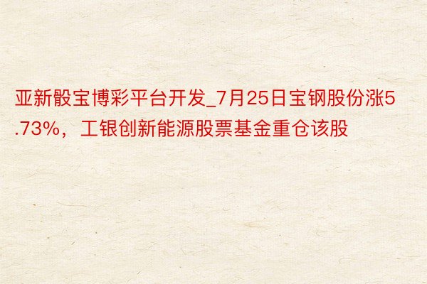 亚新骰宝博彩平台开发_7月25日宝钢股份涨5.73%，工银创新能源股票基金重仓该股