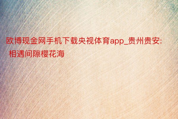 欧博现金网手机下载央视体育app_贵州贵安: 相遇间隙樱花海
